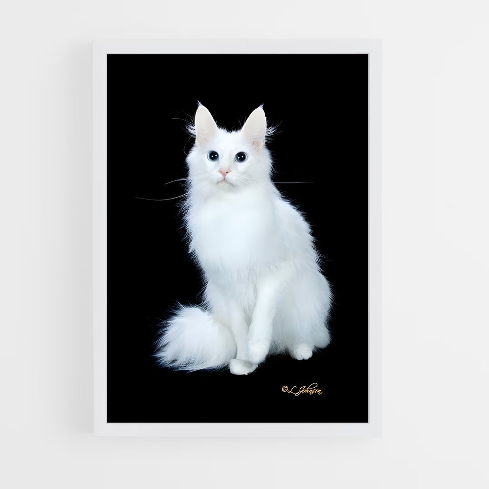 ap-turkish angora-3 cadre Blanc