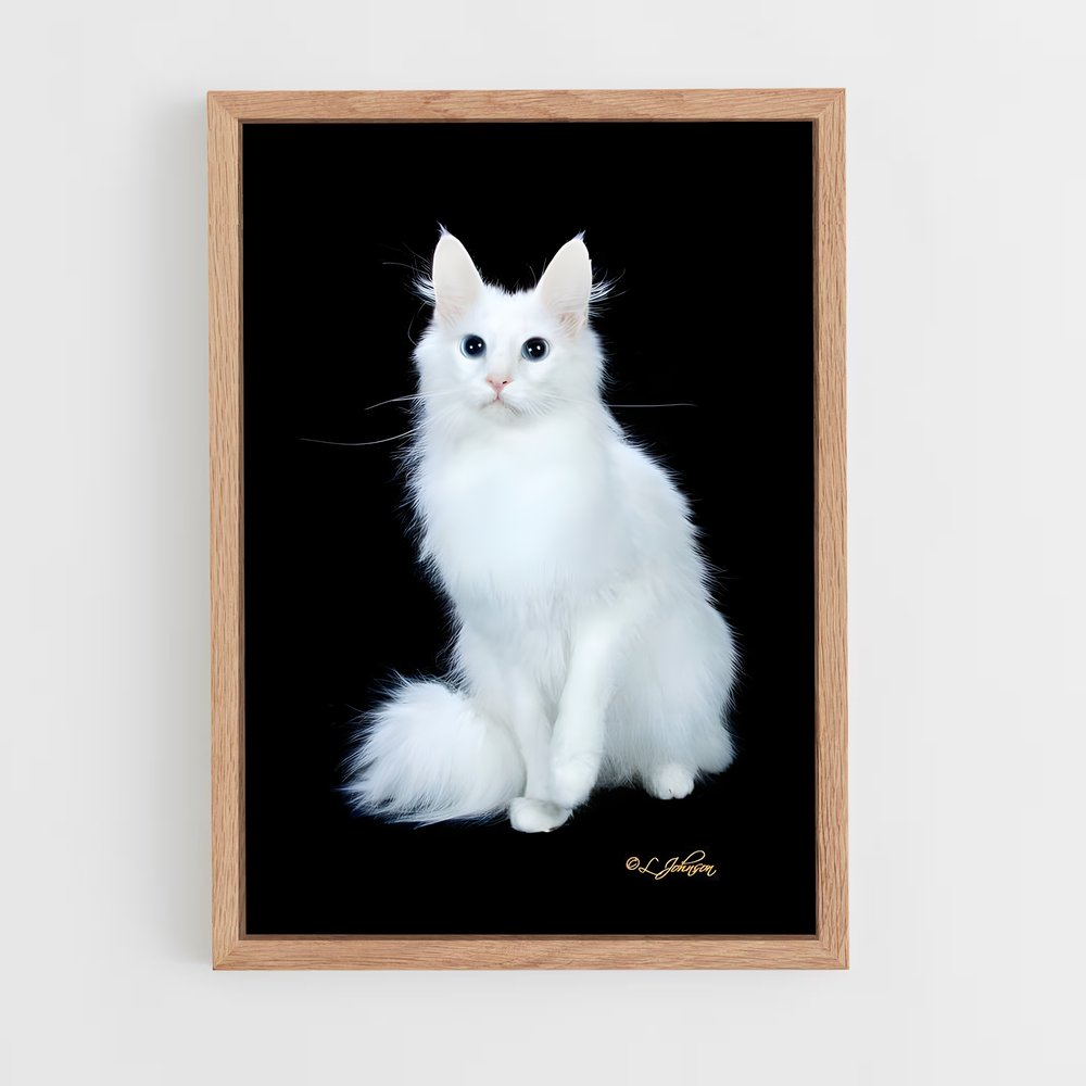 ap-turkish angora-3 cadre Bois clair