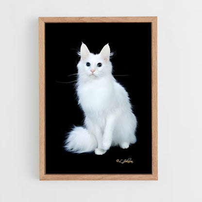 ap-turkish angora-3 cadre Bois clair