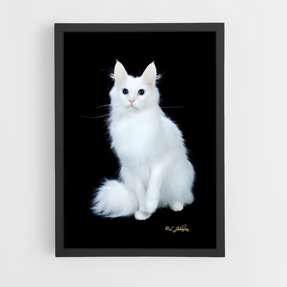 ap-turkish angora-3 cadre Noir