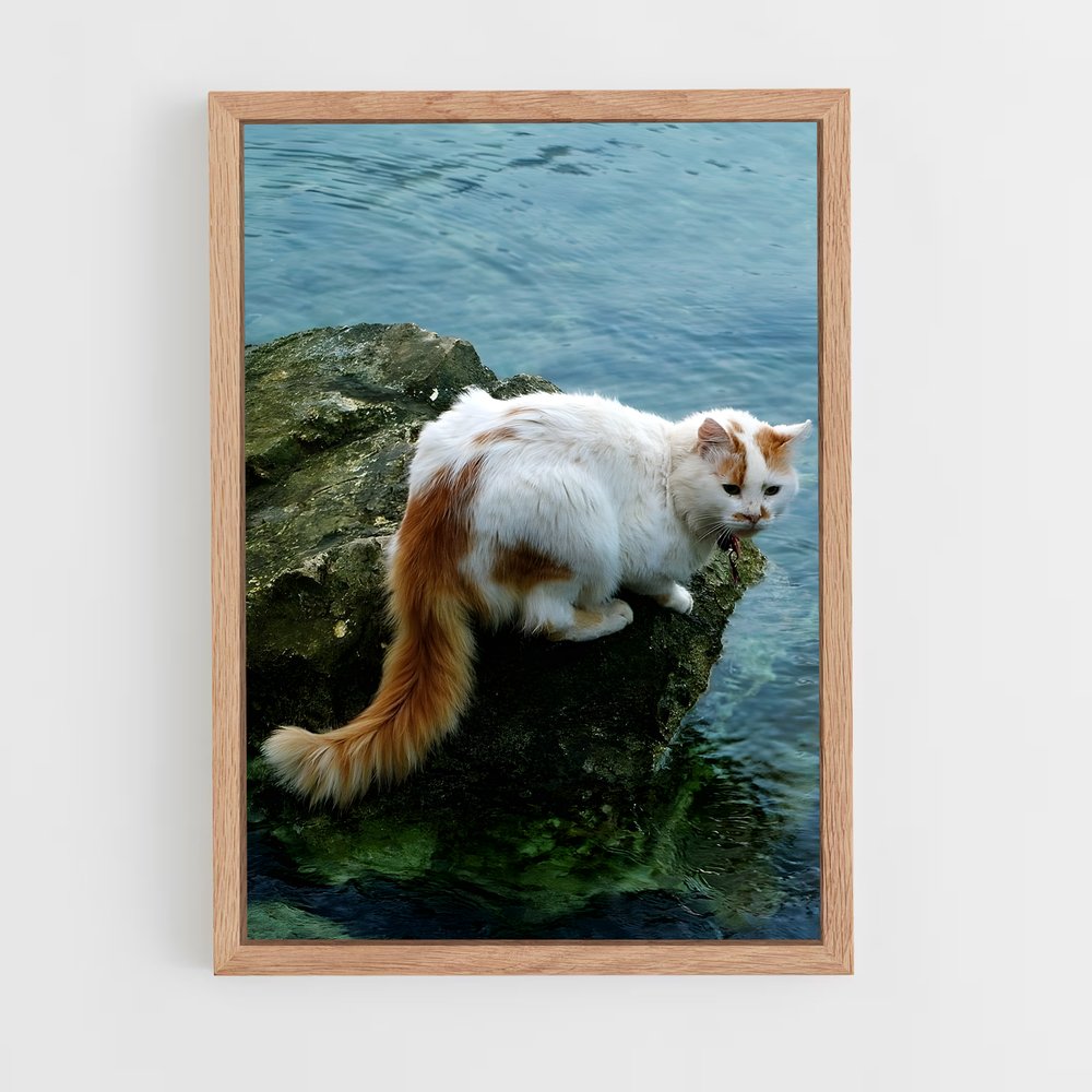 ap-turkish van-1 cadre Bois clair