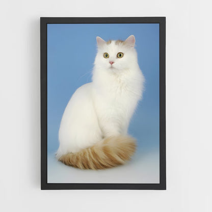 ap-turkish van-2 cadre Noir