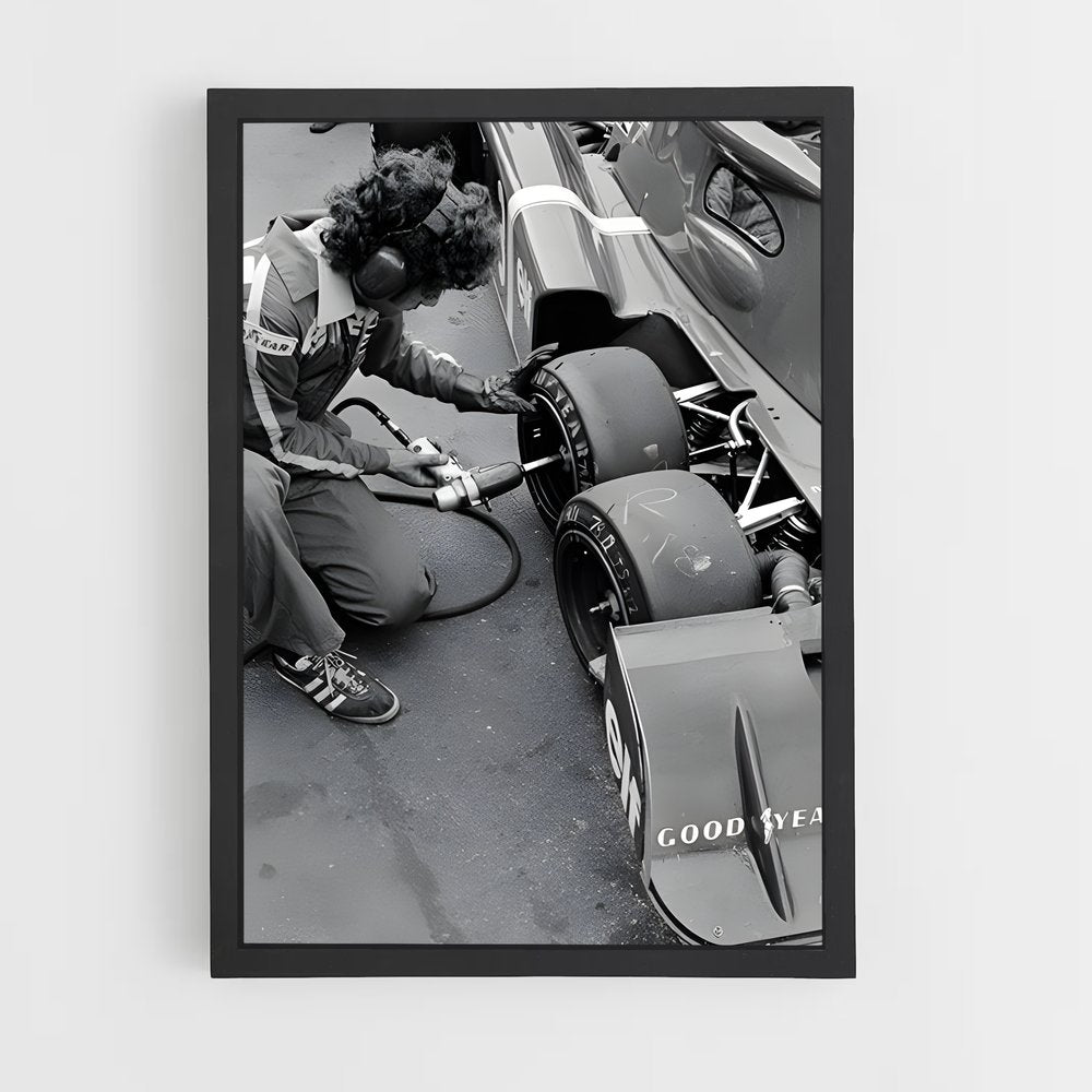 ap-tyrrell p34-2 cadre Noir