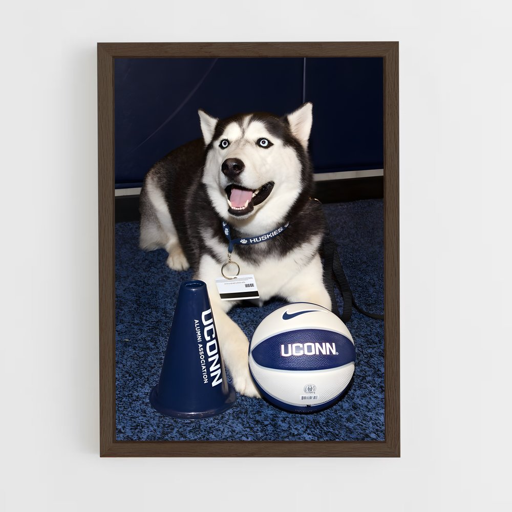 ap-uconn huskies-4 cadre Bois foncé