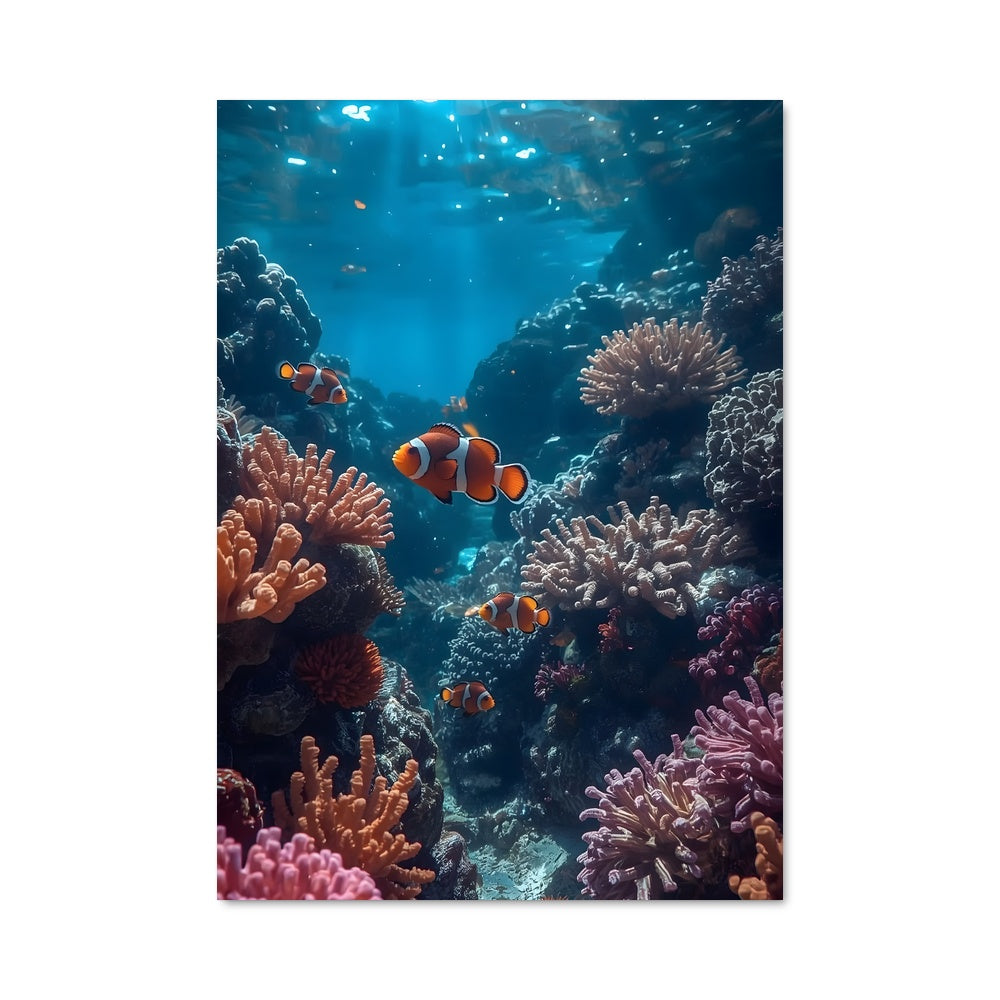 Poster Les Couleurs du Corail