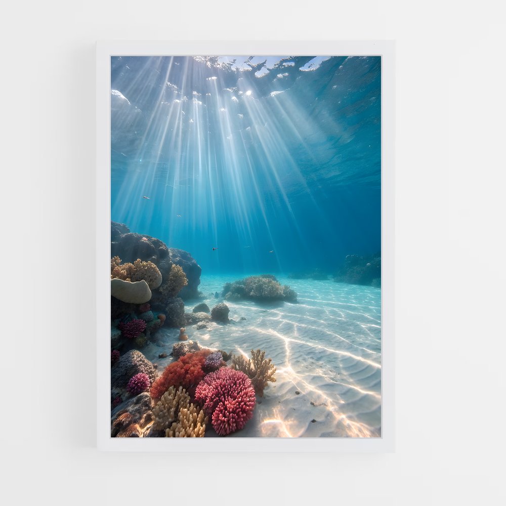 ap-underwater-19 cadre Blanc