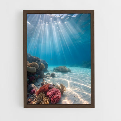 ap-underwater-19 cadre Bois foncé