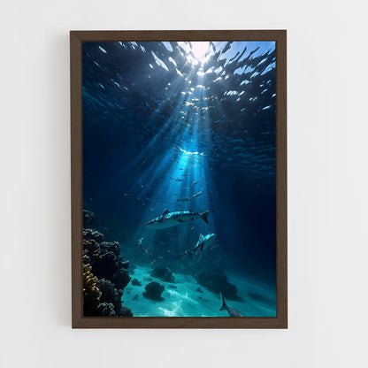 ap-underwater-2 cadre Bois foncé