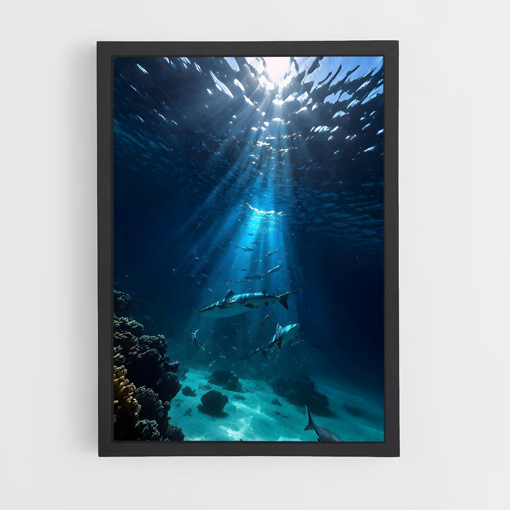 ap-underwater-2 cadre Noir