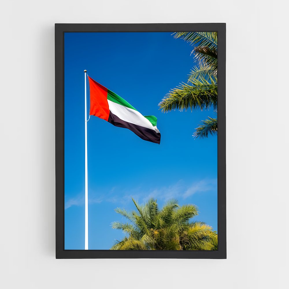 ap-united arab emirates flag-3 cadre Noir