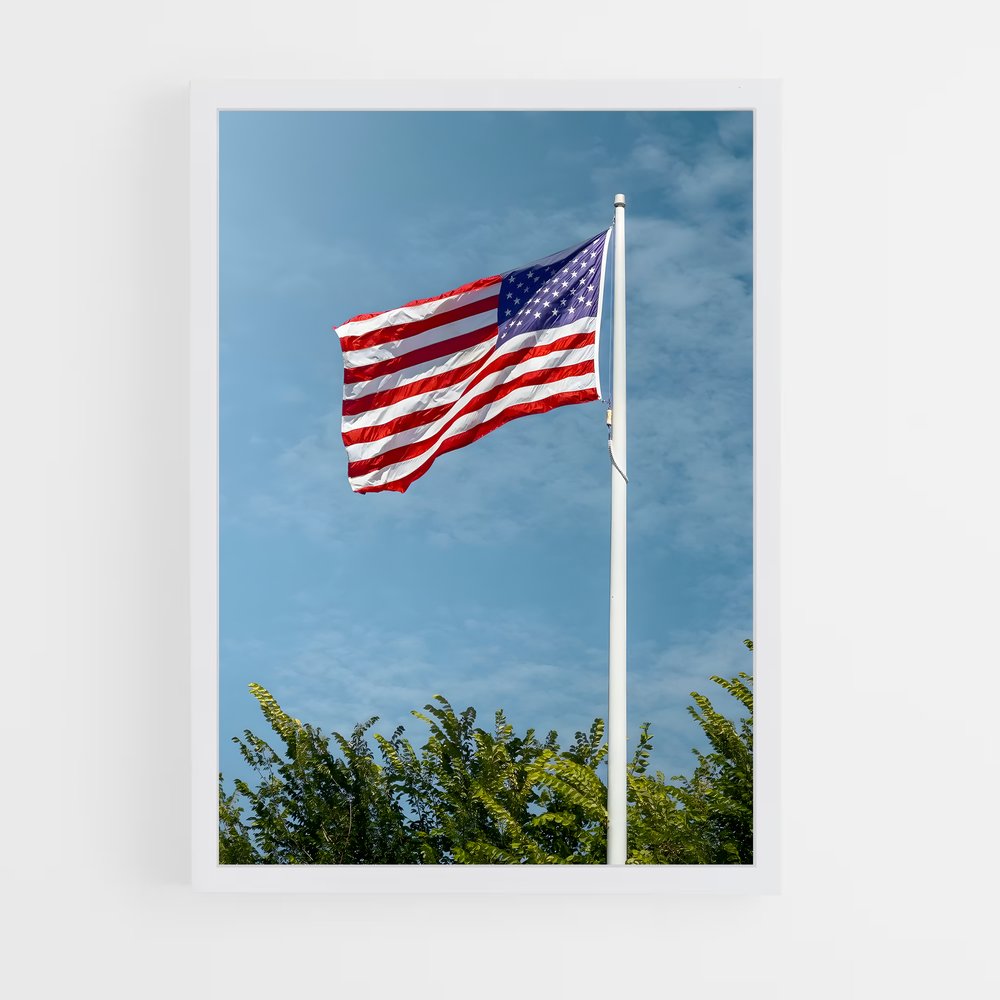ap-united states flag-4 cadre Blanc
