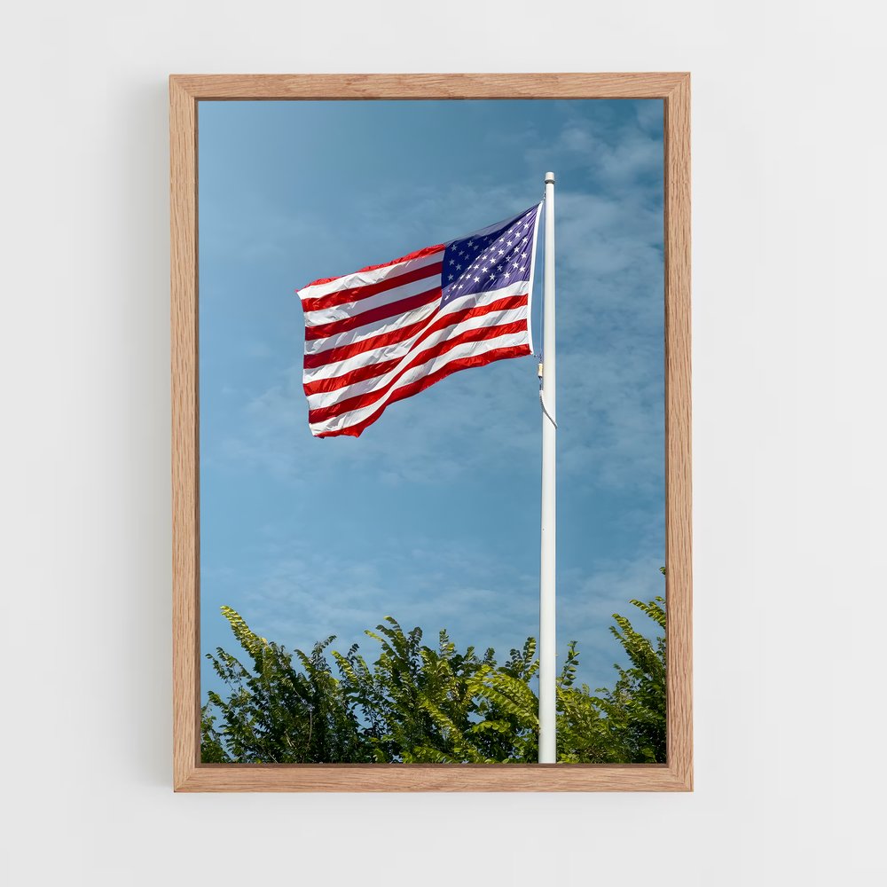 ap-united states flag-4 cadre Bois clair