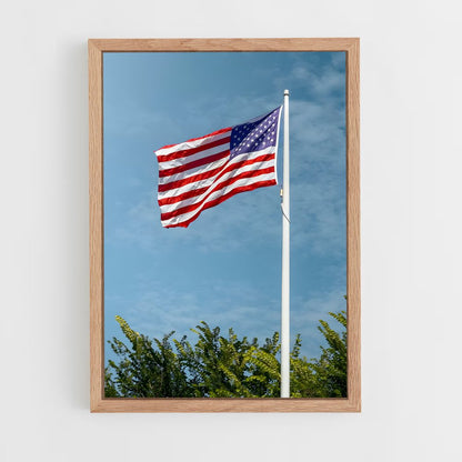 ap-united states flag-4 cadre Bois clair