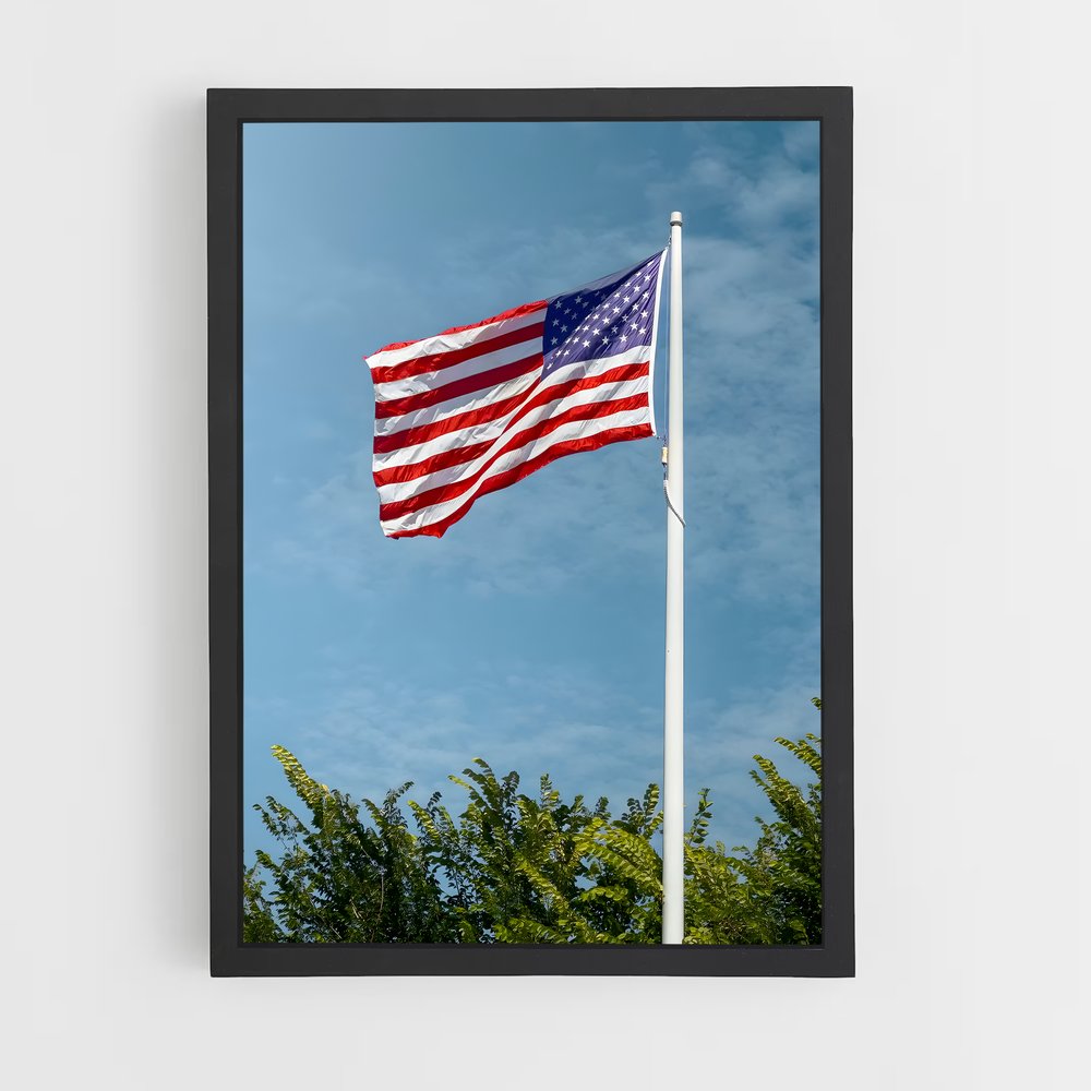ap-united states flag-4 cadre Noir