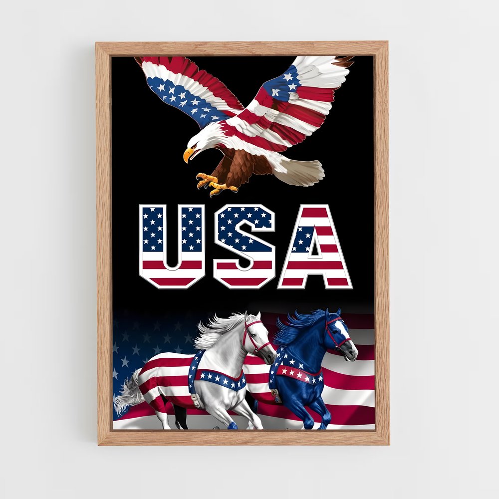 ap-usa today-6 cadre Bois clair