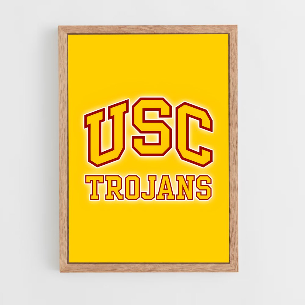 ap-usc trojans-5 cadre Bois clair