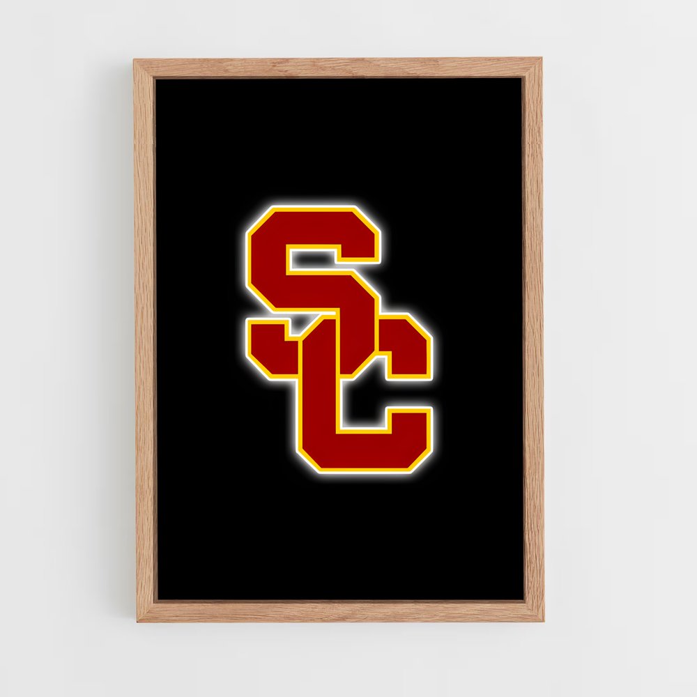 ap-usc trojans-7 cadre Bois clair