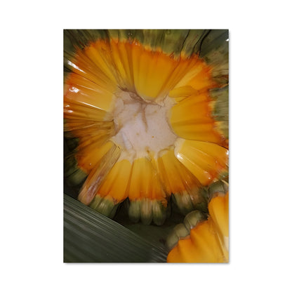 Poster Fleur de Vaiaku