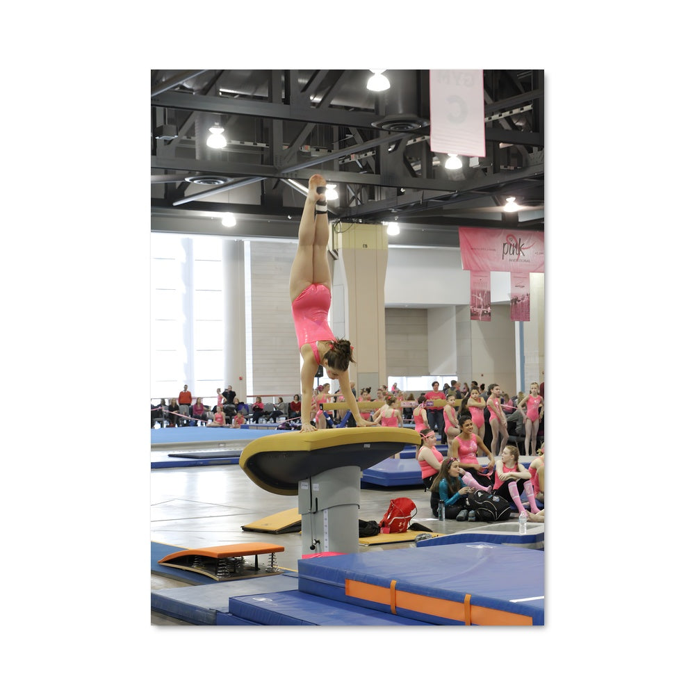 Poster Vault gymnastics 66696