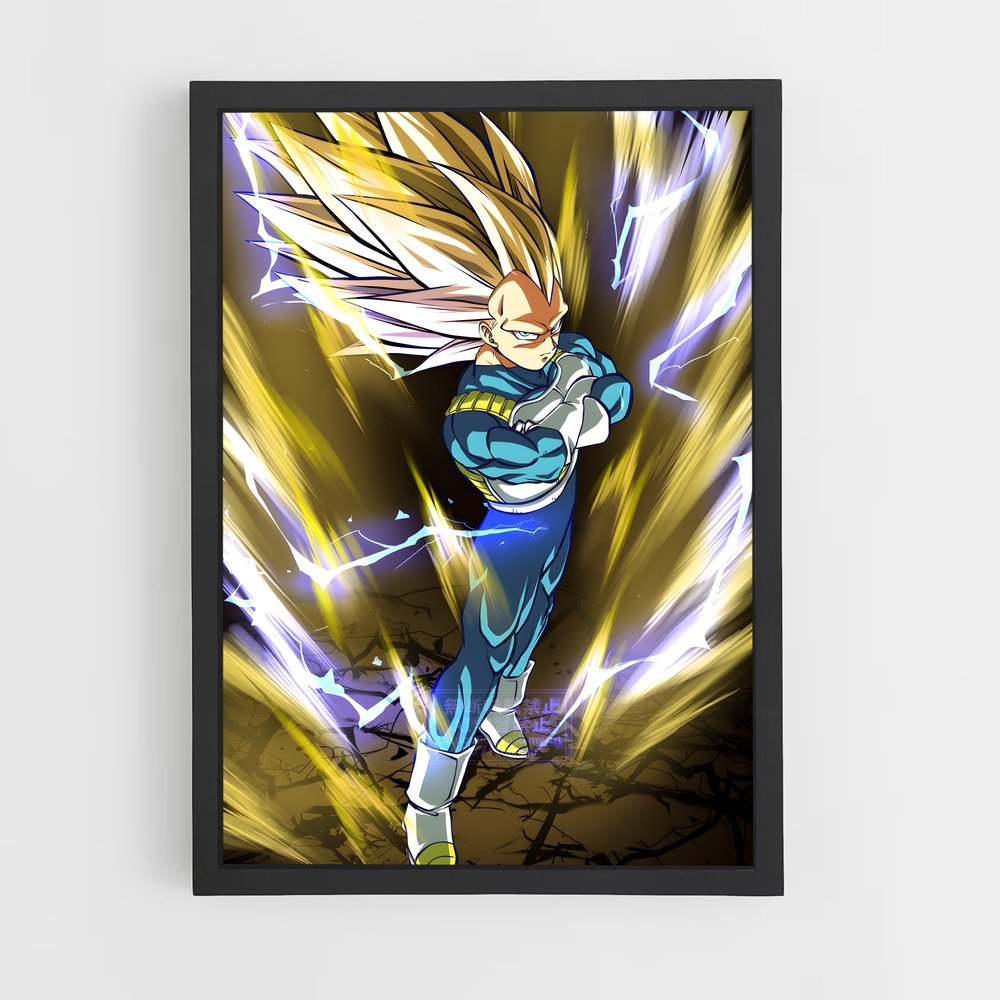 ap-vegeta-17 cadre Noir