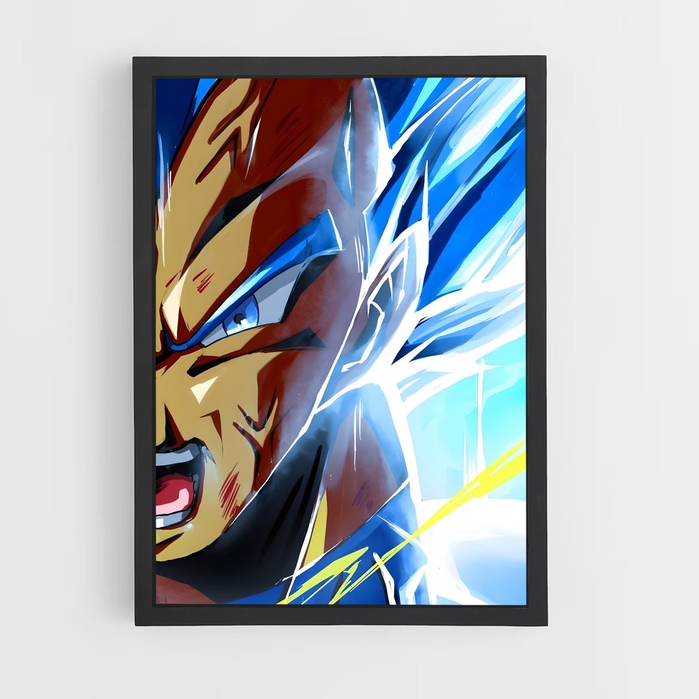ap-vegeta-22 cadre Noir