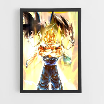 ap-vegito-10 cadre Noir