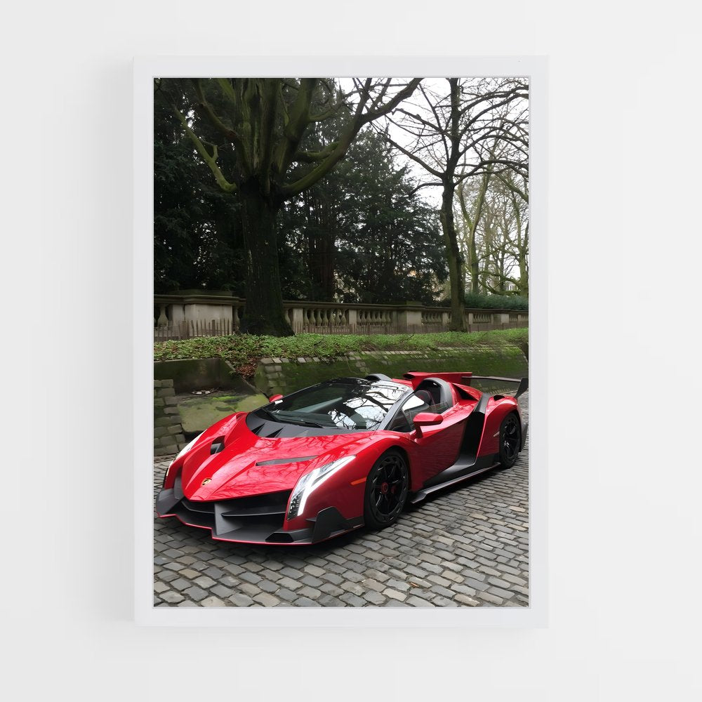 ap-veneno roadster-1 cadre Blanc