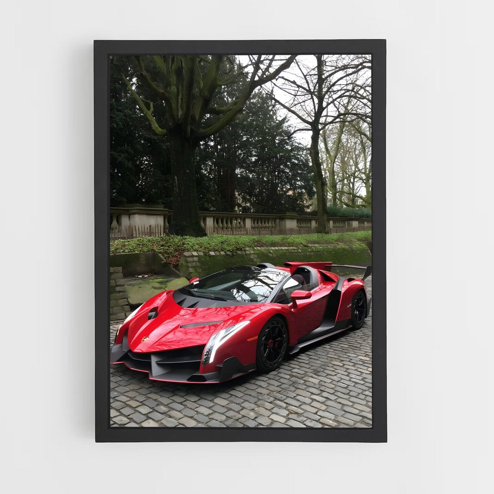 ap-veneno roadster-1 cadre Noir