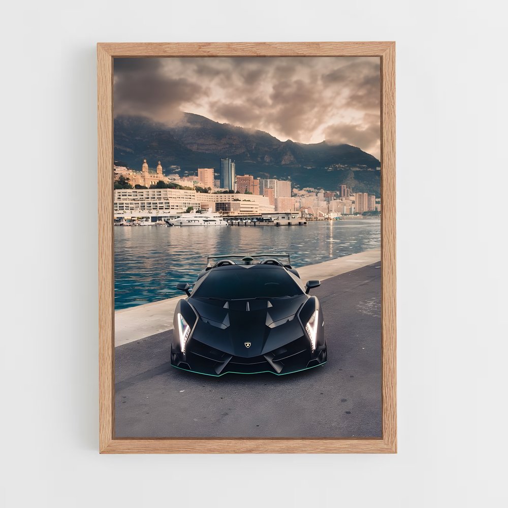 ap-veneno roadster-7 cadre Bois clair