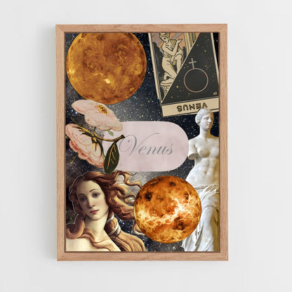 ap-venus-4 cadre Bois clair