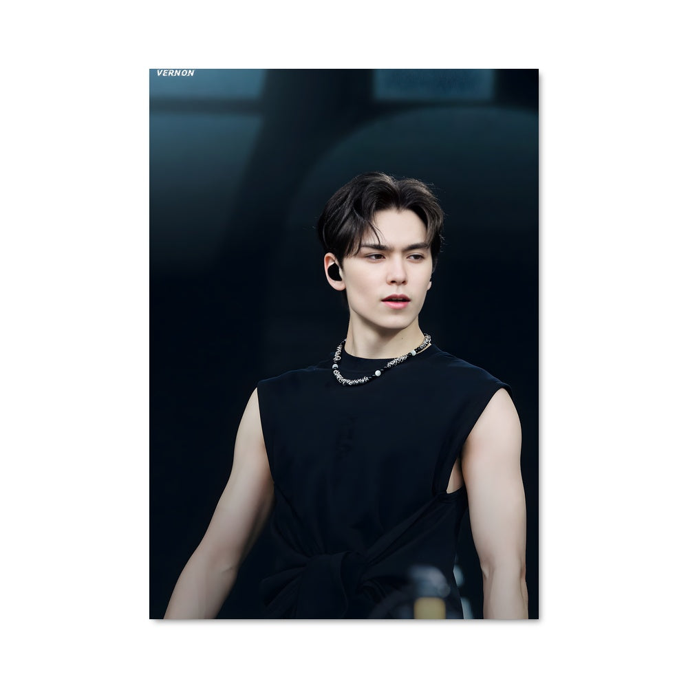 Poster Vernon 49401