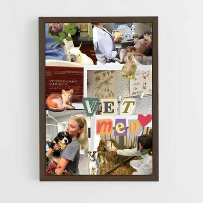 ap-veterinarian-4 cadre Bois foncé