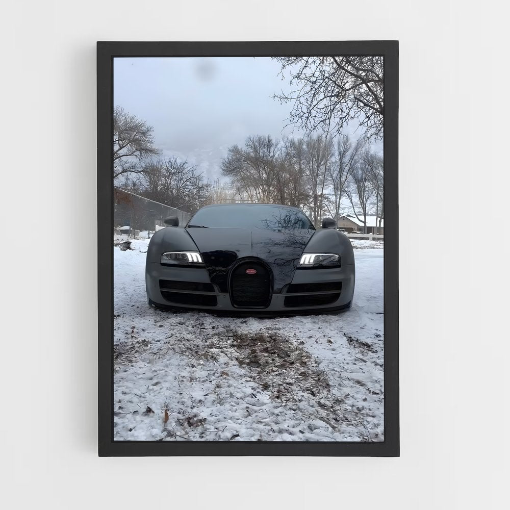 ap-veyron-1 cadre Noir