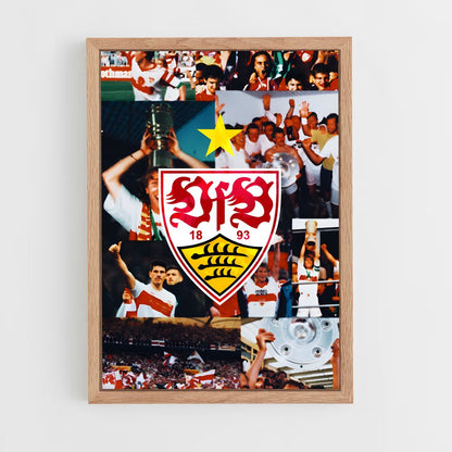 ap-vfb stuttgart-1 cadre Bois clair