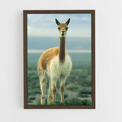 ap-vicuna-1 cadre Bois foncé