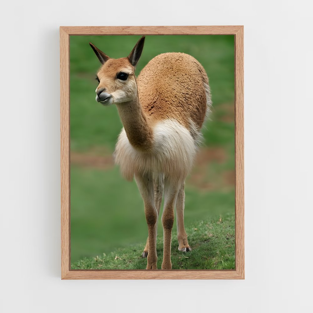ap-vicuna-2 cadre Bois clair