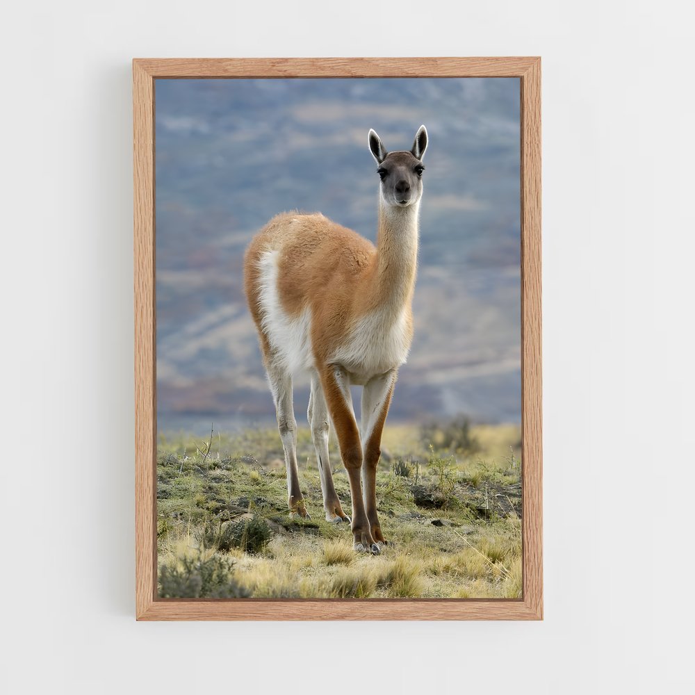 ap-vicuna-3 cadre Bois clair