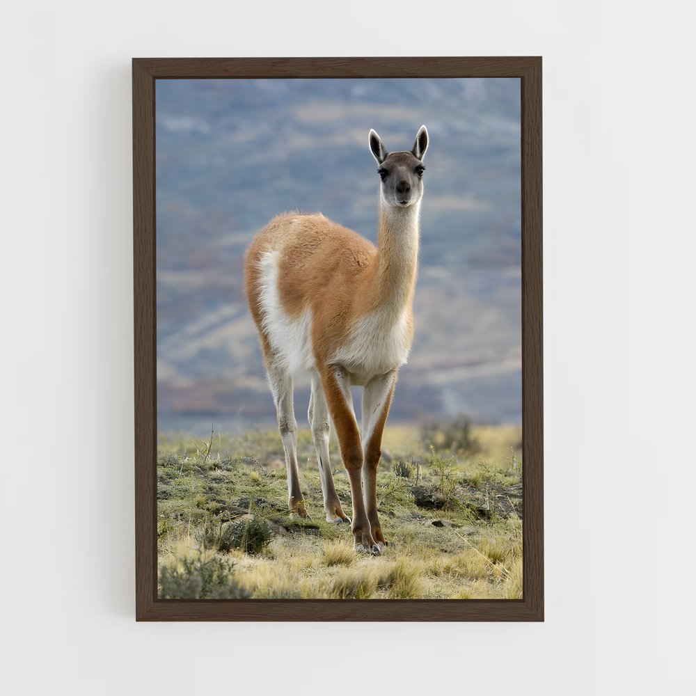 ap-vicuna-3 cadre Bois foncé