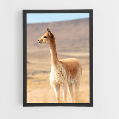 ap-vicuna-4 cadre Noir