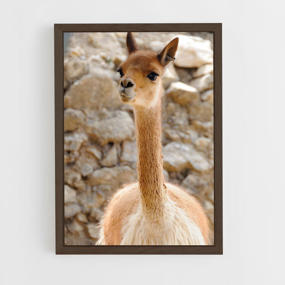 ap-vicuna-7 cadre Bois foncé