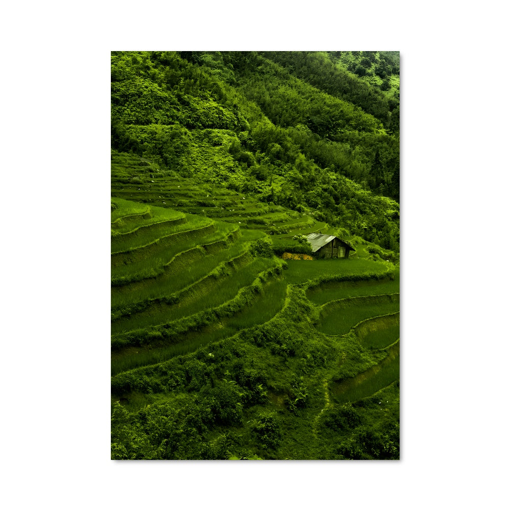 Poster Montagnes Vertes