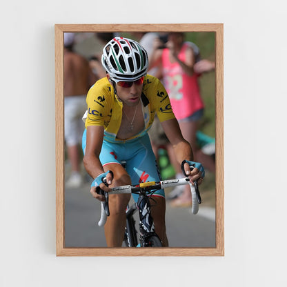 ap-vincenzo nibali-3 cadre Bois clair