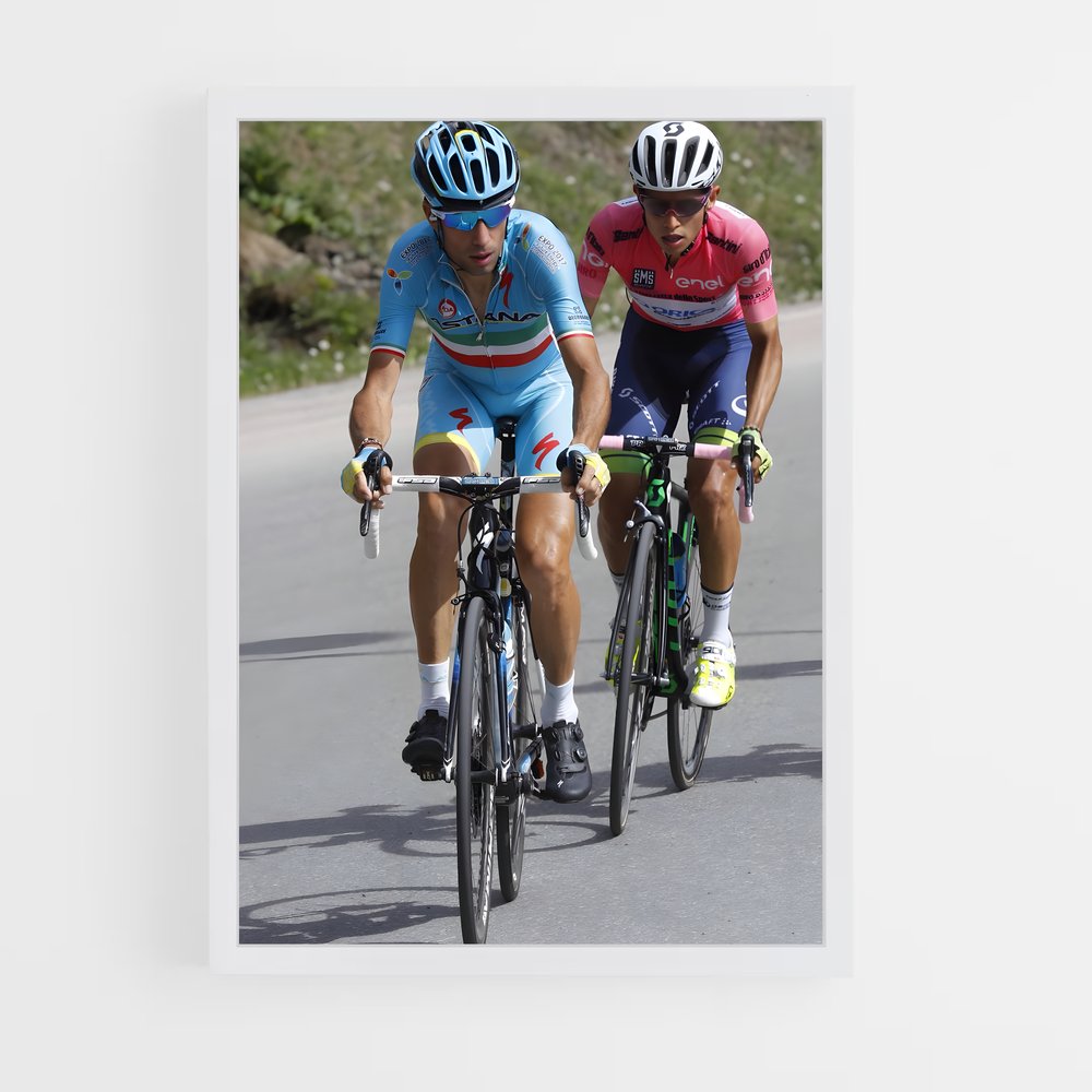 ap-vincenzo nibali-5 cadre Blanc