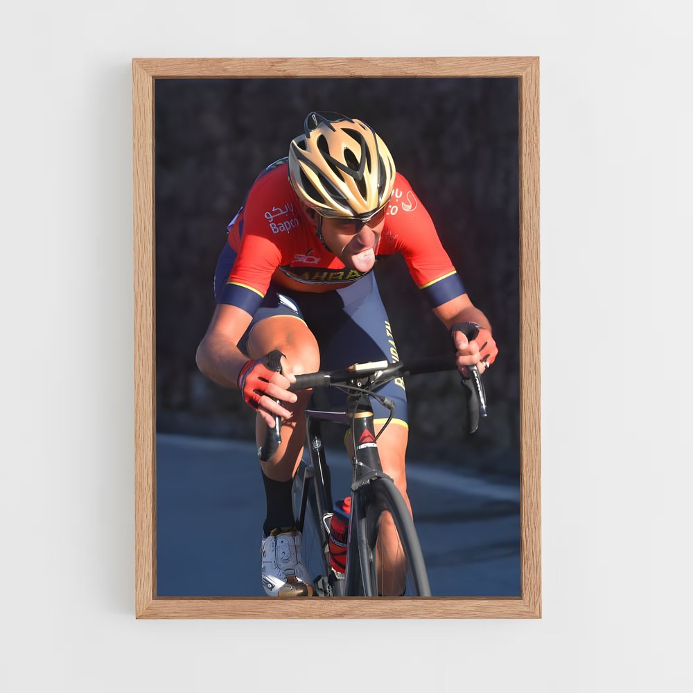 ap-vincenzo nibali-7 cadre Bois clair