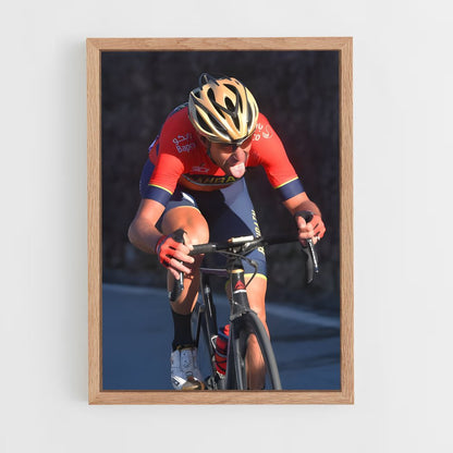 ap-vincenzo nibali-7 cadre Bois clair
