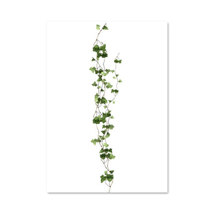 Poster Vigne Élégante
