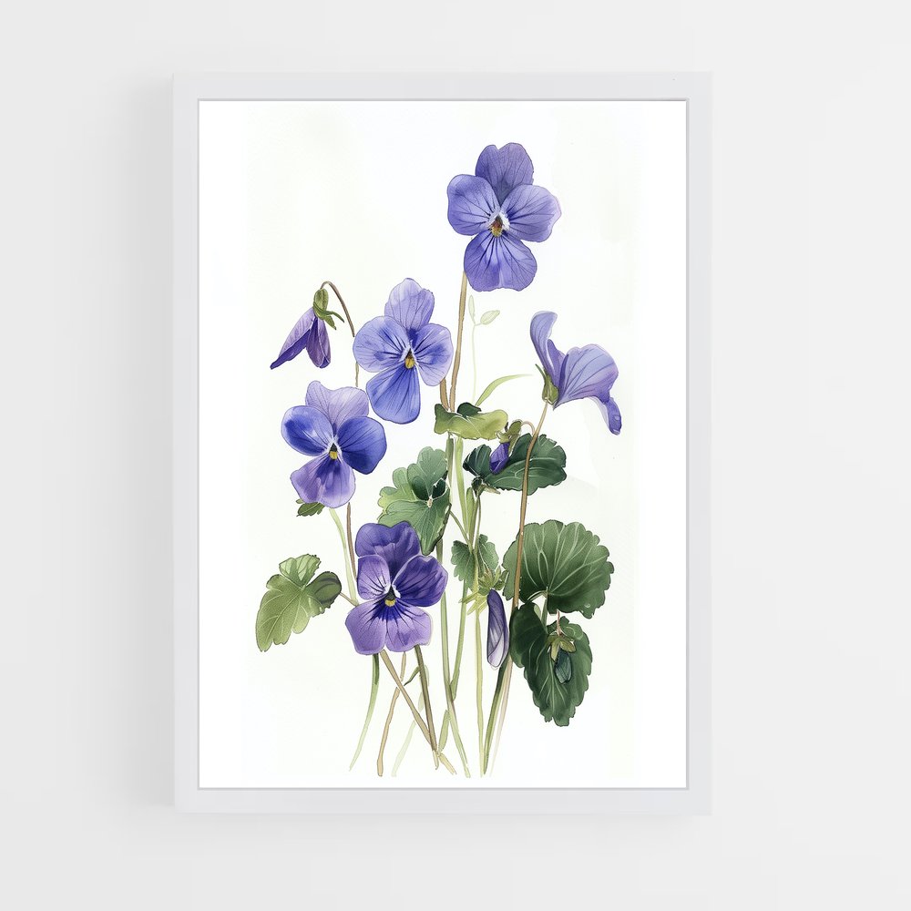 ap-violet-10 cadre Blanc