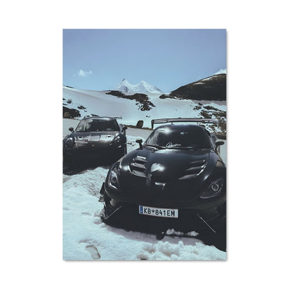 Poster Viper Noir dans la Neige