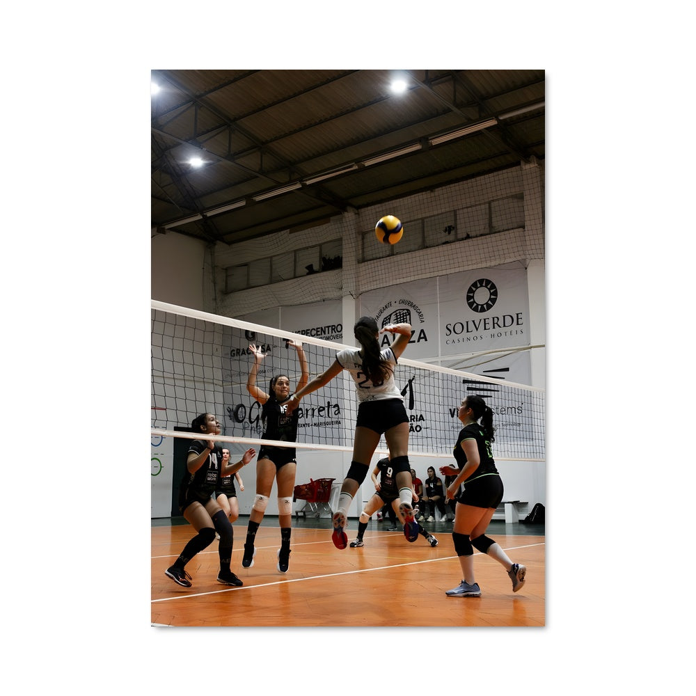 Poster Volleyball 74892