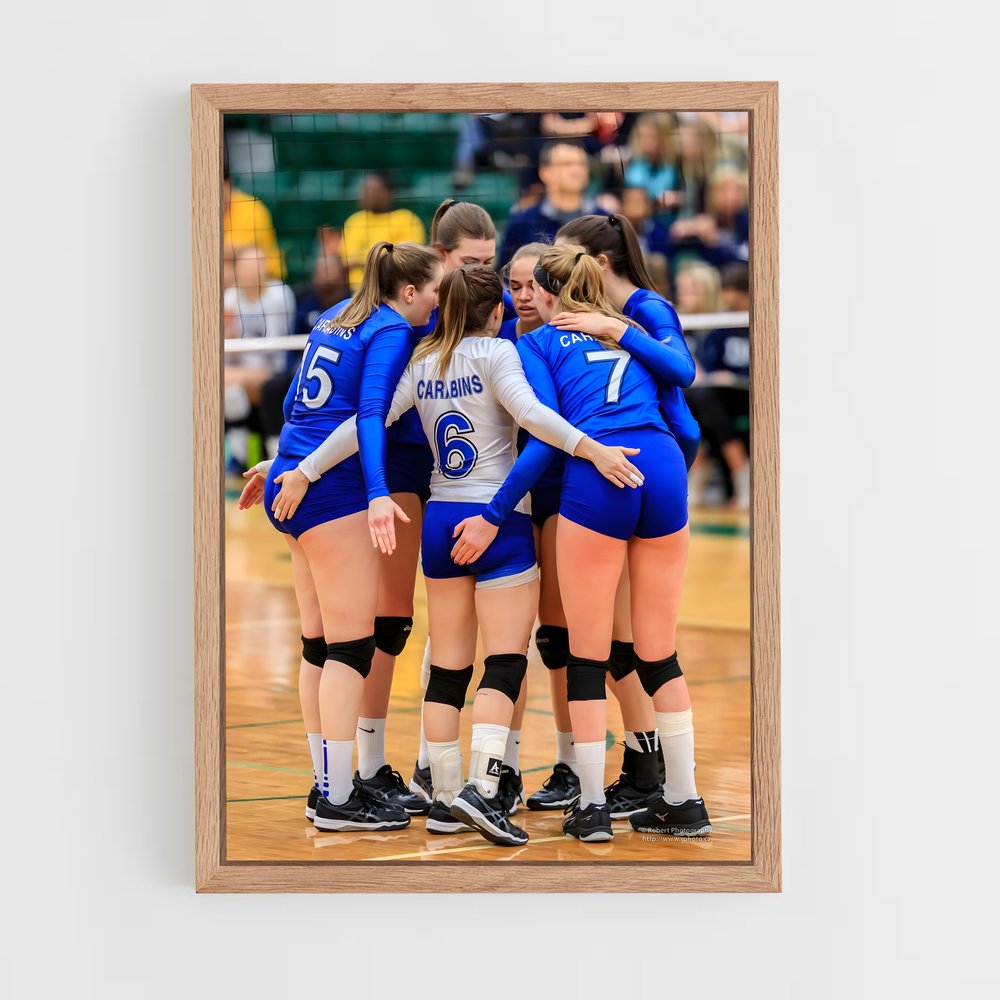 ap-volleyball world cup-6 cadre Bois clair